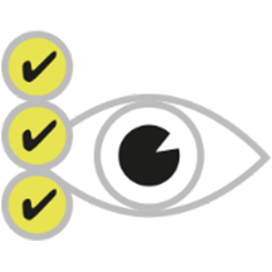 Auge mit Checkboxen als Icon.